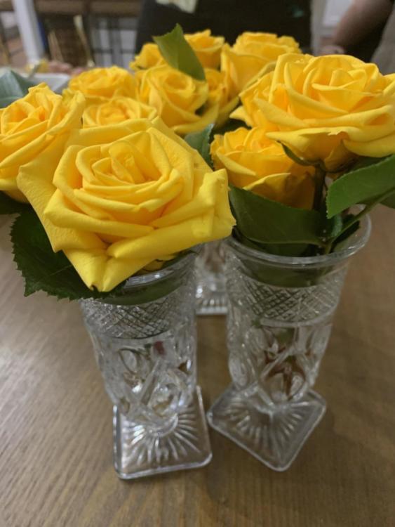 6B45D501-1C53-4F41-B0A2-B890E860EA5E